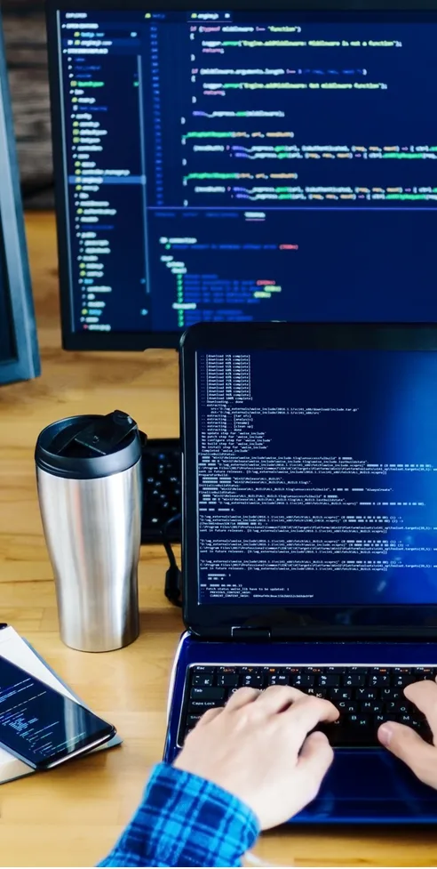 4 Software Development & Professional Coaching